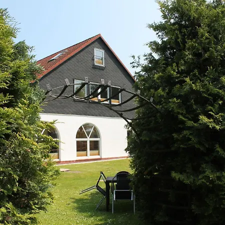 Modern In With Garden
